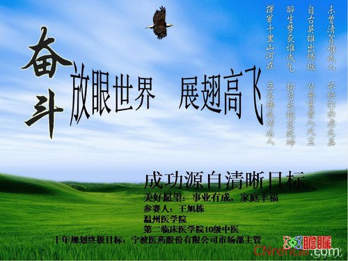 2016年小学教育专业职业规划书范文